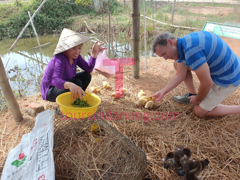 Immersive Farming Experience in Hoi An